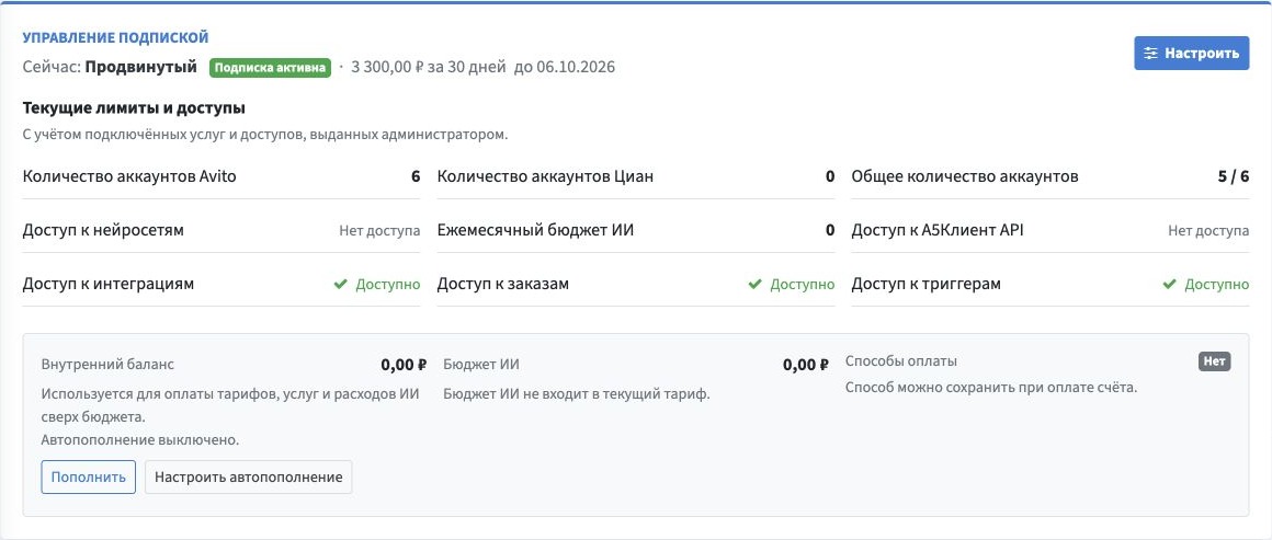 Обзор подписки: текущий тариф, лимиты, внутренний баланс, бюджет ИИ и способы оплаты